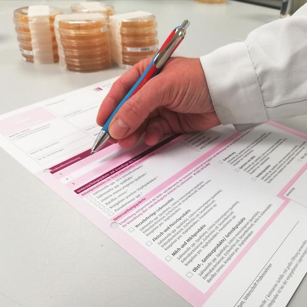 Mitarbeiter des Hygiene Labor Gärtners füllt zur Vorbereitung Formular aus